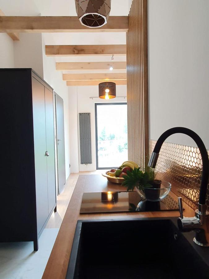 Ogrodowa 4 Apartment Устшики Долне Екстериор снимка